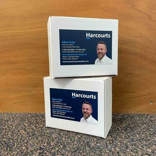 Professional Business Cards